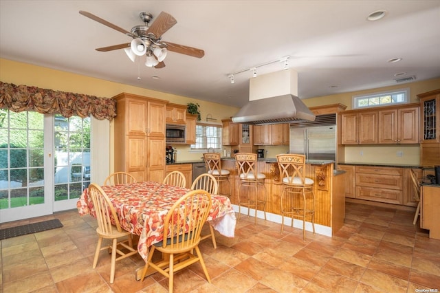 dining space featuring ceiling fan, a healthy amount of sunlight, and rail lighting