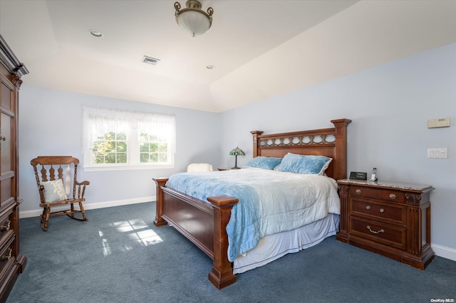 carpeted bedroom featuring a tray ceiling