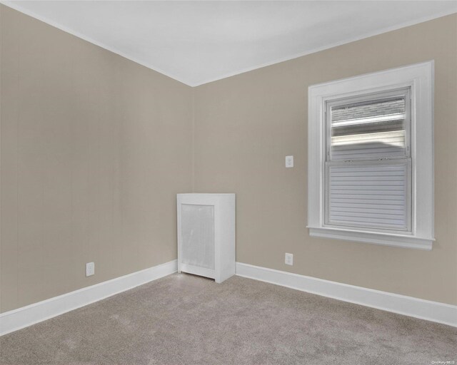 94-51 226th St, Floral Park, NY 11001 - carpeted spare room with crown molding and baseboards