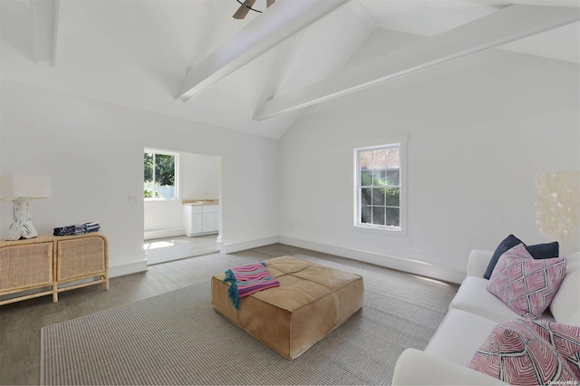 living room featuring beamed ceiling, hardwood / wood-style flooring, high vaulted ceiling, and plenty of natural light