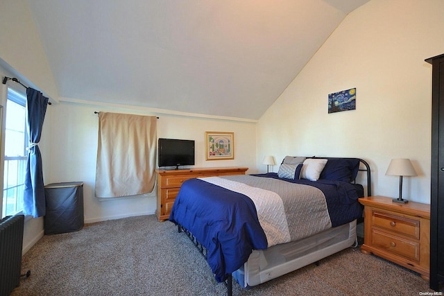 bedroom featuring lofted ceiling, carpet floors, and radiator