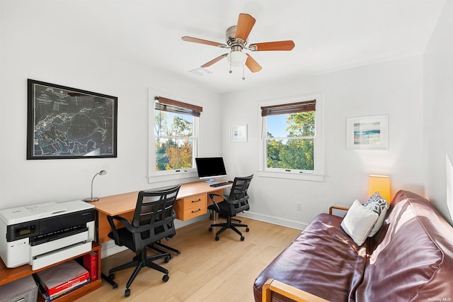 office featuring ceiling fan, light hardwood / wood-style floors, and a wealth of natural light