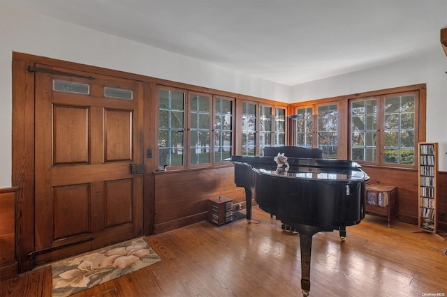 interior space with wood walls, plenty of natural light, and light hardwood / wood-style floors