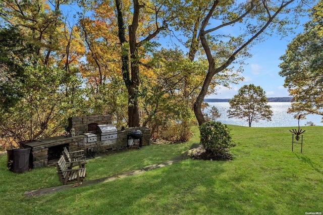 view of yard with a water view and area for grilling