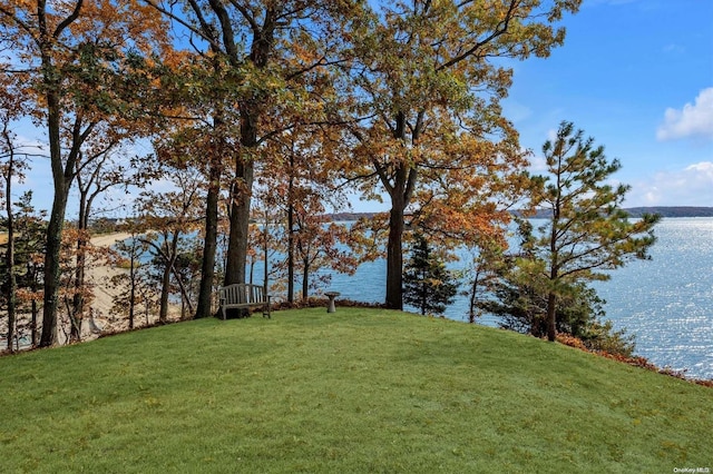 view of yard with a water view