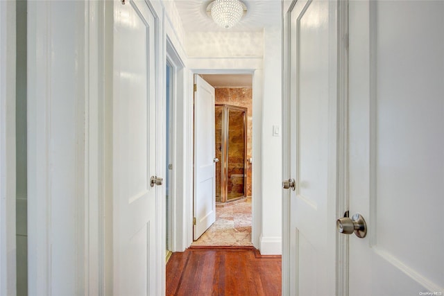 corridor with dark wood-type flooring