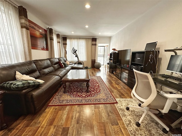 living room with wood-type flooring