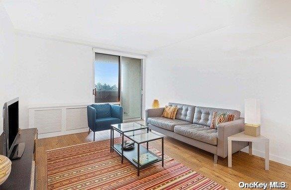 living room with wood-type flooring