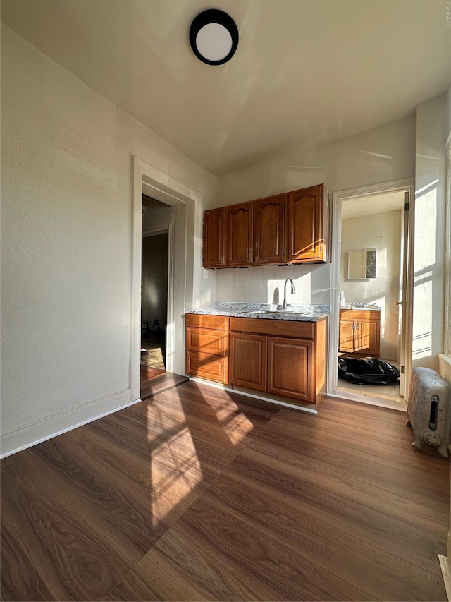 kitchen with dark hardwood / wood-style flooring and sink