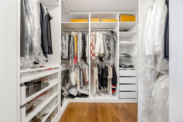 spacious closet featuring hardwood / wood-style flooring