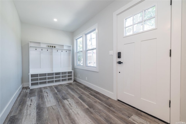 mudroom featuring hardwood / wood-style floors