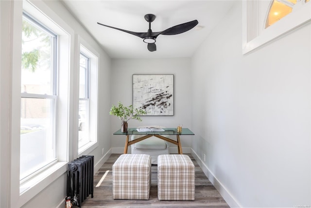 home office featuring a wealth of natural light, radiator, dark wood-type flooring, and ceiling fan