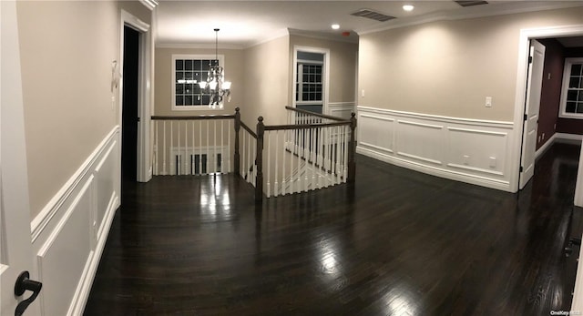 corridor featuring crown molding, dark hardwood / wood-style flooring, and a chandelier