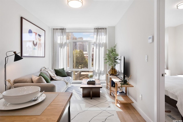 living room with light hardwood / wood-style flooring