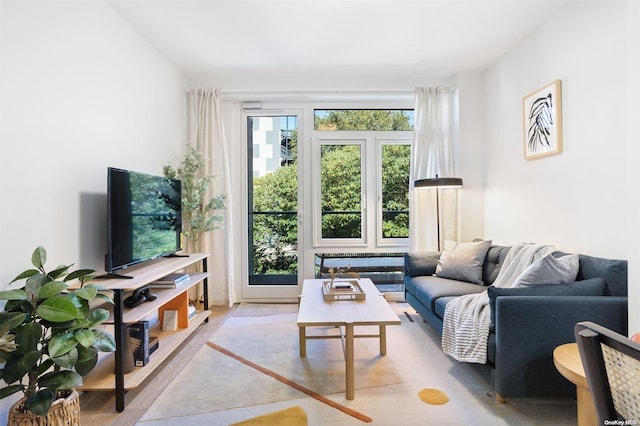 living room with wood-type flooring