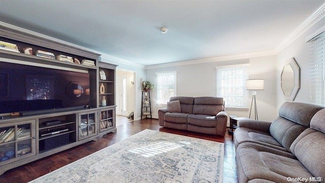 living room with crown molding and dark hardwood / wood-style floors