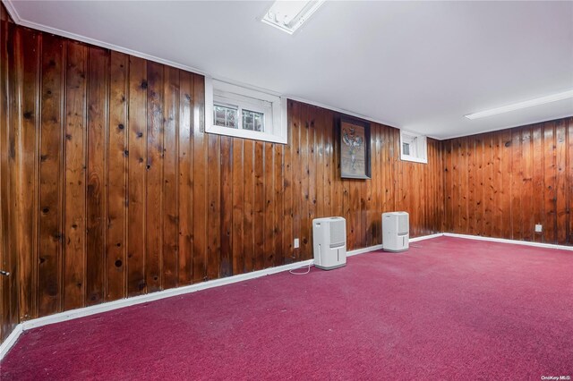 basement with carpet and wooden walls