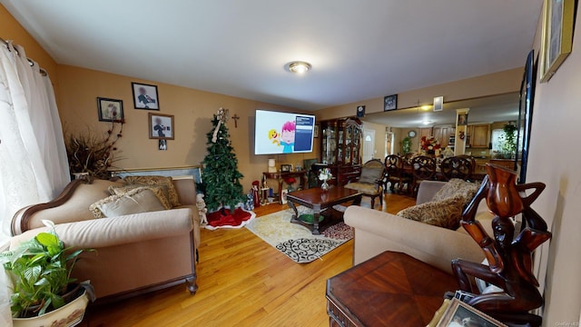 living room featuring wood-type flooring