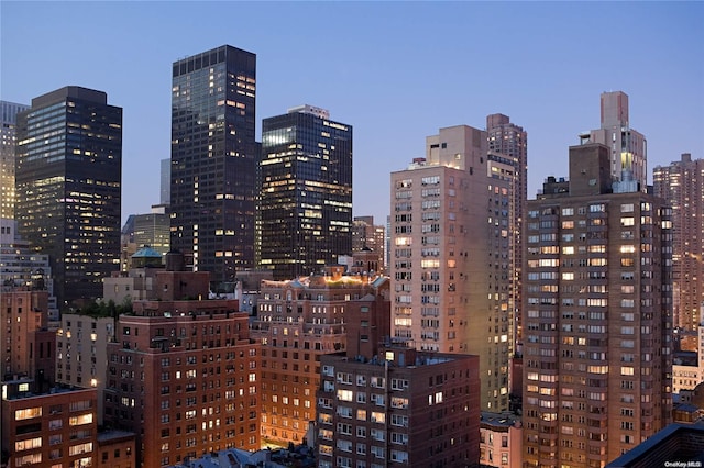 98-22 63rd Dr Unit 5-E, Rego Park, NY 11374 - skyline view