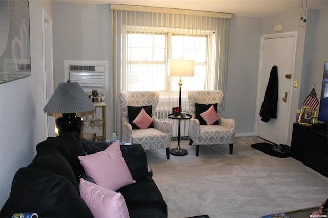 252-51 63rd Ave Unit 5A, Little Neck, NY 11362 - living room with carpet flooring