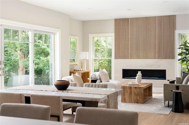 living room with light hardwood / wood-style floors and a premium fireplace