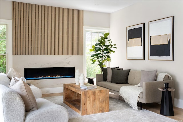 living room featuring a fireplace and wood-type flooring