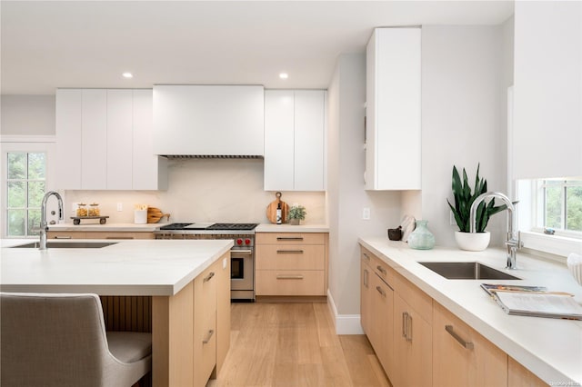 kitchen with extractor fan, light hardwood / wood-style floors, high end stainless steel range oven, and sink