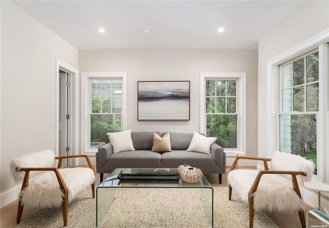 living room featuring plenty of natural light and wood-type flooring