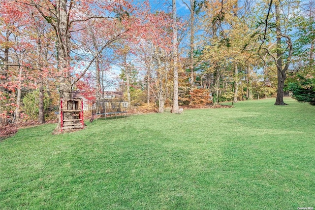 view of yard featuring a trampoline