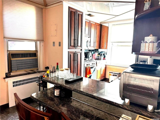 kitchen featuring stainless steel gas stove, plenty of natural light, radiator heating unit, and dark stone counters