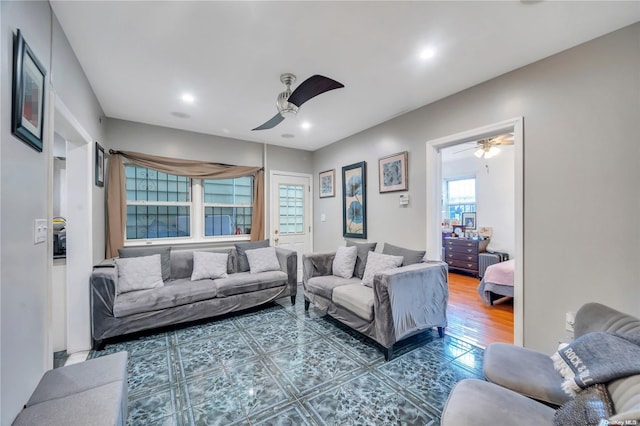 living room with dark hardwood / wood-style floors