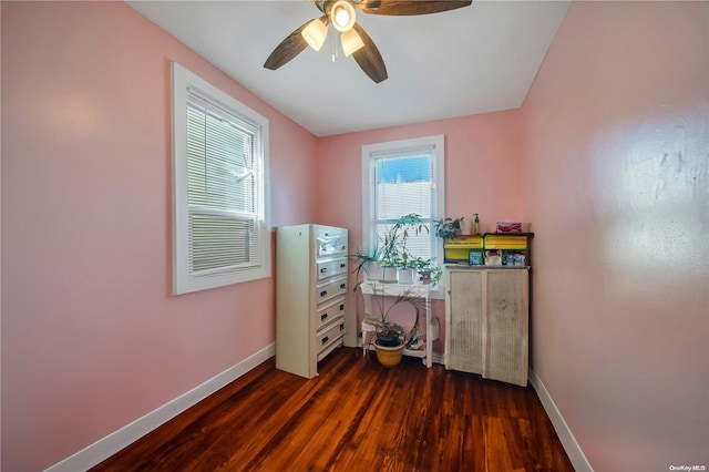 office featuring plenty of natural light, dark wood-type flooring, and ceiling fan