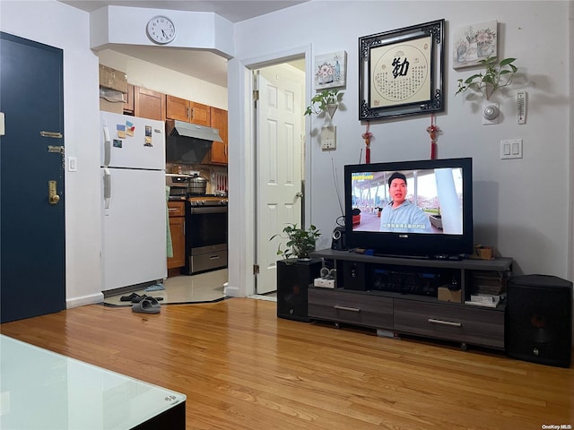 living room featuring light hardwood / wood-style floors