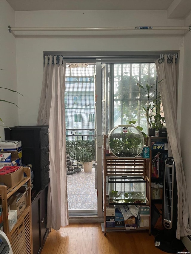 entryway featuring hardwood / wood-style floors and plenty of natural light