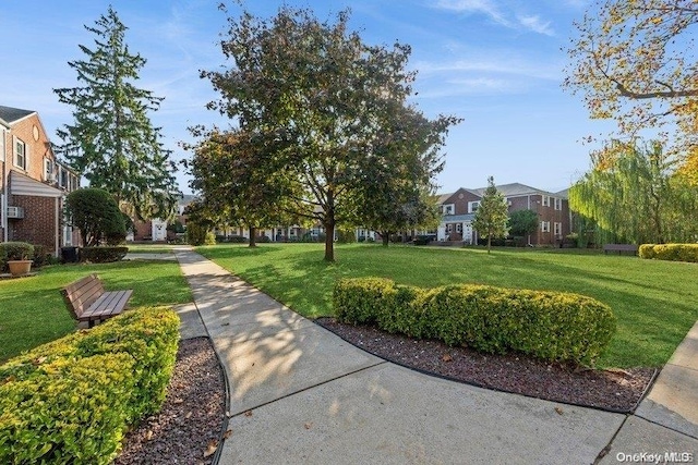 view of community with a lawn