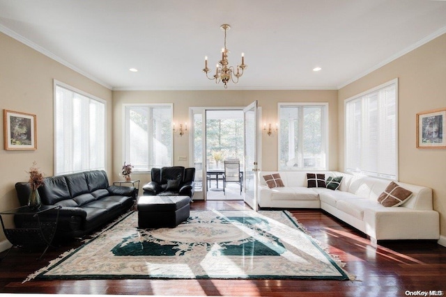 living room with crown molding, an inviting chandelier, and dark hardwood / wood-style flooring