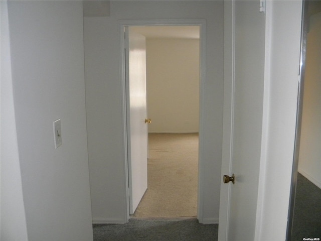 hallway with carpet