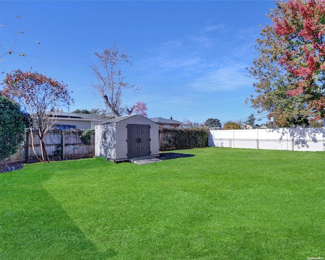 view of yard with a storage unit