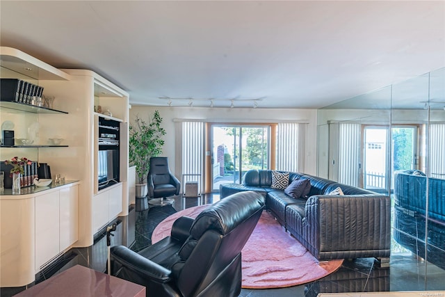 living room with a healthy amount of sunlight and track lighting