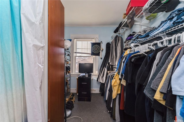 spacious closet with carpet