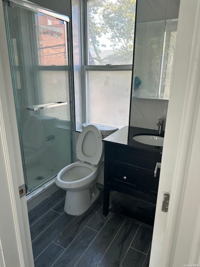 bathroom with vanity, toilet, and a shower with door