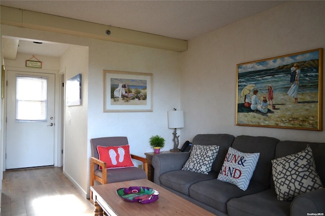 living room featuring light hardwood / wood-style flooring