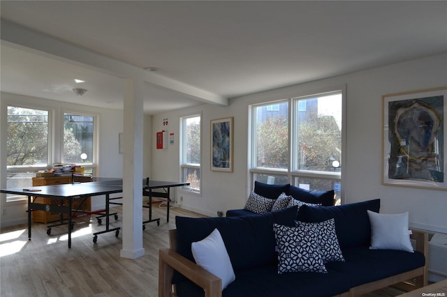 living room with light hardwood / wood-style floors