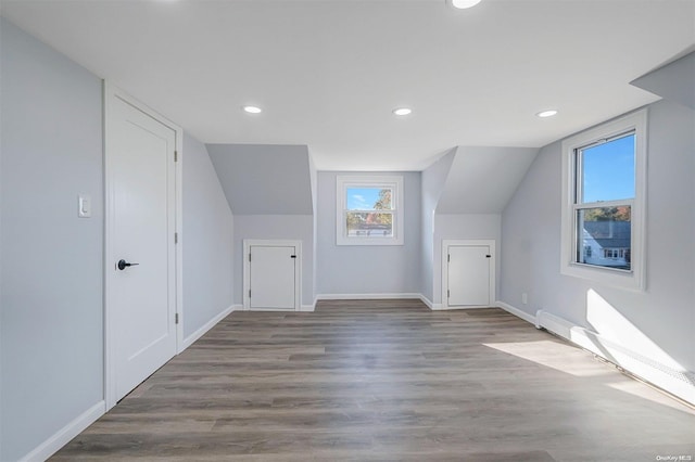 bonus room featuring a healthy amount of sunlight, lofted ceiling, and wood-type flooring