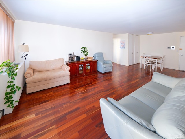 living room with dark wood-type flooring