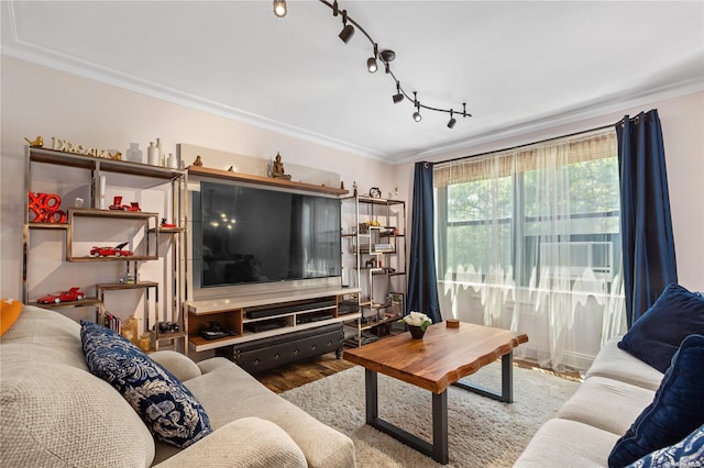 living room with hardwood / wood-style flooring and ornamental molding