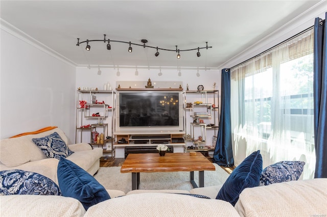 living room featuring hardwood / wood-style flooring and ornamental molding