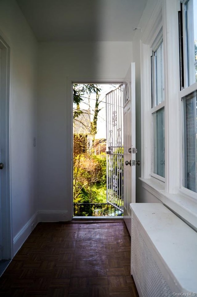 entryway with dark parquet floors and plenty of natural light