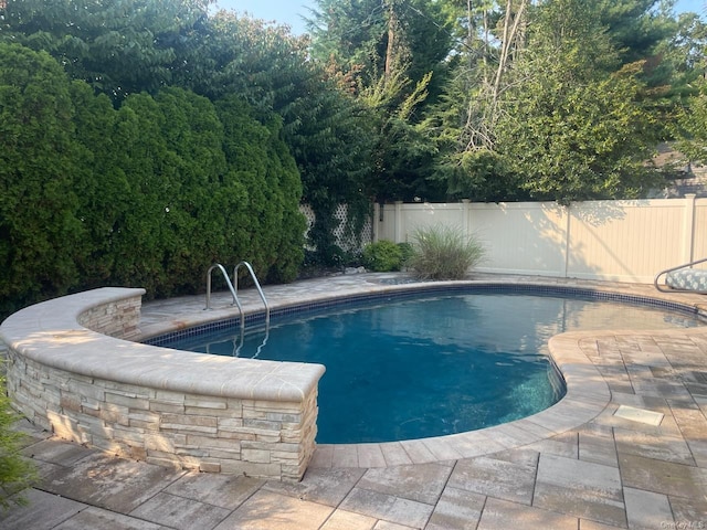 view of swimming pool with a patio area