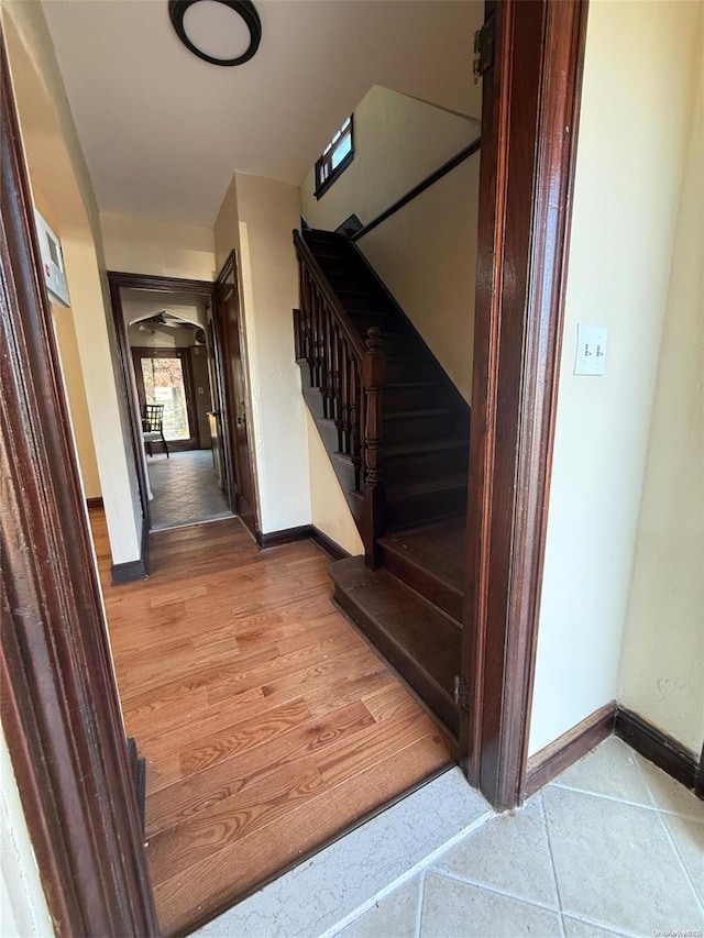 staircase with wood-type flooring